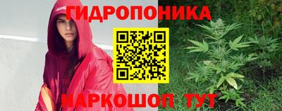 гидропоника Берёзовский