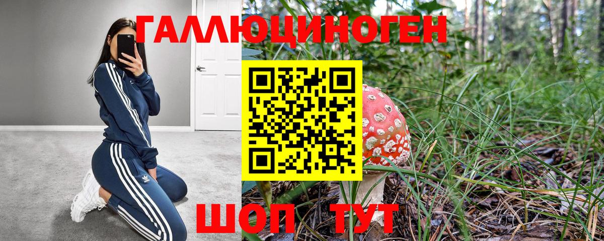 Галлюциногенные грибы Psilocybine cubensis Клинцы