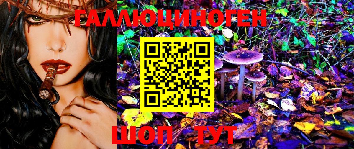 Клинцы  Галлюциногенные грибы Psilocybe  Вход с VPN 